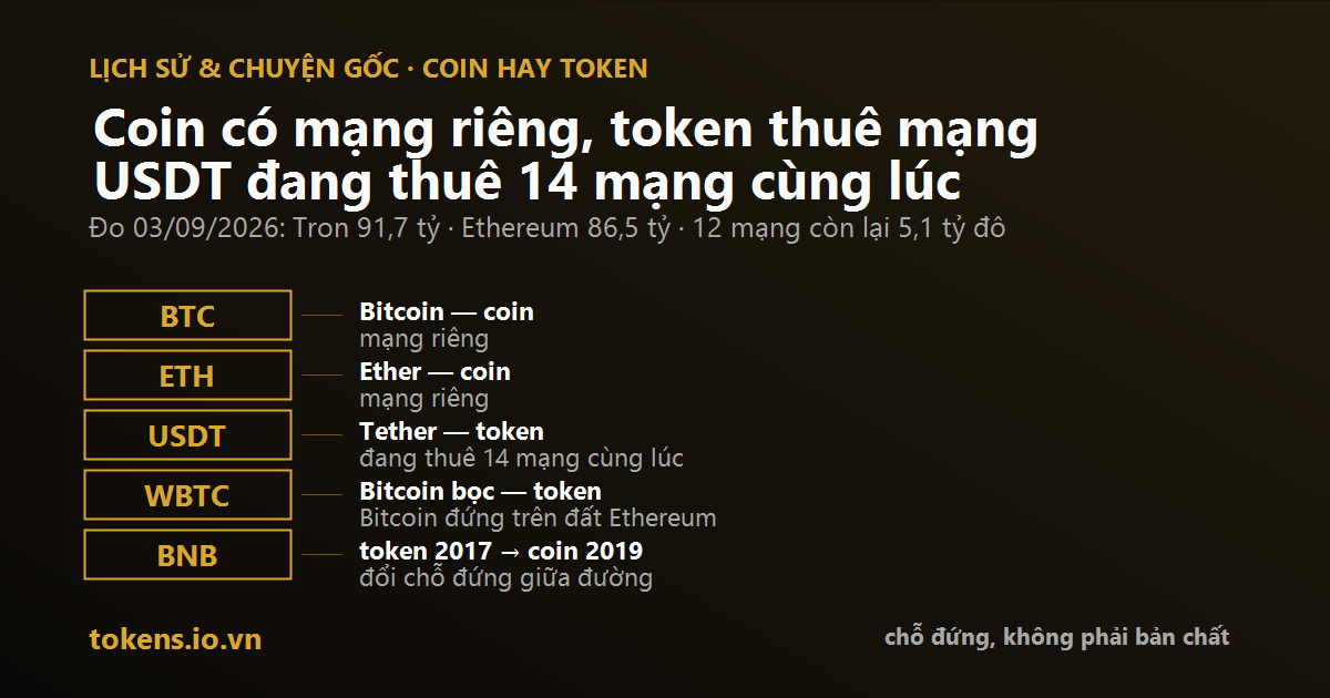 Bìa: Coin có mạng riêng, token thuê mạng người khác — và đồng USDT bạn cầm đang thuê 14 mạng cùng lúc