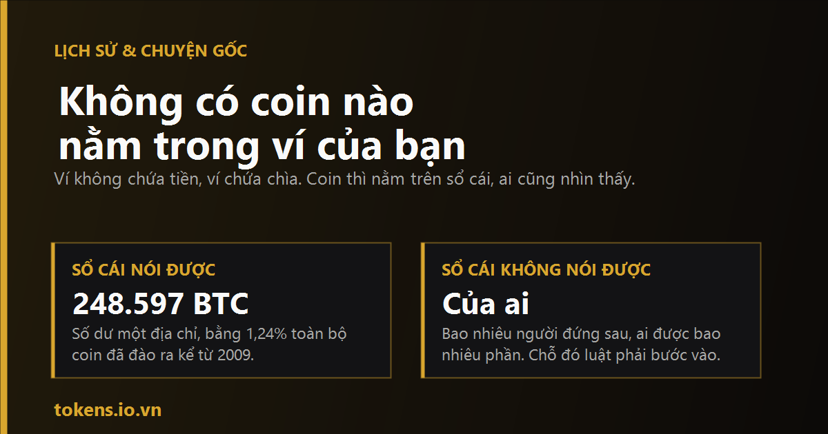 Bìa: Không có coin nào nằm trong ví của bạn — một địa chỉ đang giữ 248.597 BTC
